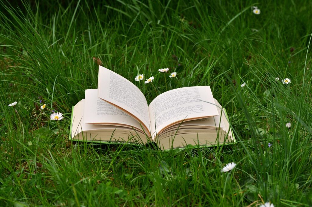 a book, meadow, read relax, daisy, grass, green, nature, book pages, pitched, browse