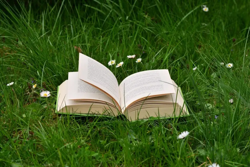 a book, meadow, read relax, daisy, grass, green, nature, book pages, pitched, browse